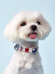 PETSIN 1 件独立日狗项圈 - 柔软舒适的尼龙可调节项圈，带条纹和星星图案，美国国旗设计，适合中小型犬，适合室内和室外使用 - 白色 - 查看 3