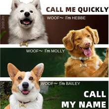 个性化定制宠物牌，定制狗牌时尚个性化双面深猫狗牌用于宠物雕刻骨头气球形状黄铜个性化狗ID牌雕刻猫狗小狗宠物狗牌豪华狗和猫项圈牌，小号，金色狗ID牌个性化双面深猫狗项圈饰物鼓槌气球形状黄铜 - 金色 - 查看 3