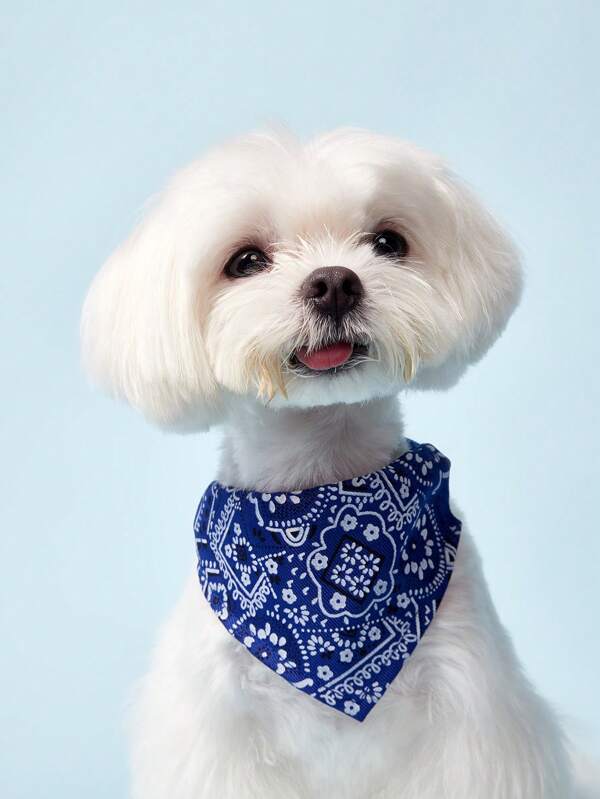 PETSIN 1pc Adjustable Printed PU Pet Bandana With Water Absorbent Towel And Traction Buckle For Small And Medium Dogs