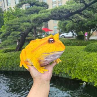 Statue de grenouille réaliste - Ornement de jardin en résine fait à la main pour les plantes en pot | Décoration d'intérieur fantaisiste et accessoire pour terrarium DIY
