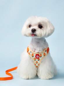 PETSIN 可愛寵物胸帶和繩子套組合，適用於小型犬，戶外遛狗，防逃跑貓繩，可調節貓背心，適用於所有季節 - 橘色 - 查看 4