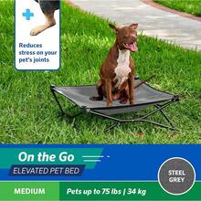 Coolaroo On-The-Go Elevated Dog Bed - Foldable Pop-Up Travel Dog Bed With Breathable, Moisture-Resistant Fabric, Carry Bag Included, Lightweight & Portable, Emerald Green, Standard - 灰色 - 查看 7