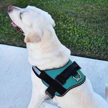 Dogline Dog Harness, Reflective No-Pull Adjustable Vest With Handle Walking, Training, Service Breathable No - Choke Harness Small, Medium Or Large Dogs Room Patches Girth 15 To 18 In RedChristmas BXJX - Teal - 查看 7