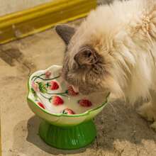 陶瓷宠物慢食碗，加高设计，防止窒息，颈部保护，防溢出，可爱猫狗碗 - 彩色 - 查看 9