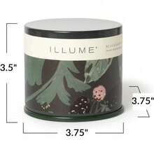 Fresh Sea Salt Vanity Tin Scented Candle - 黑莓苦艾酒 - 查看 10