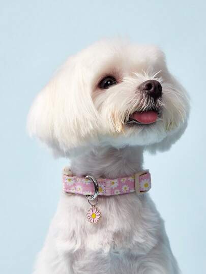 PETSIN Pink Daisy And Colorful Yellow Flower Theme Dog Collar Puppy Keeper Soft, Durable, Comfortable With Adjustable Buckle For Indoor/Outdoor Use Pet Dog Supplies