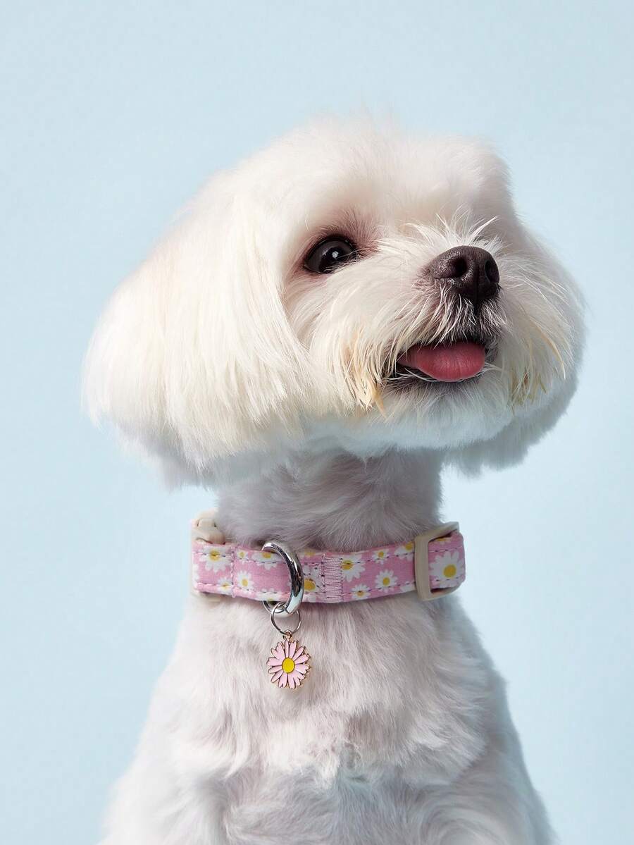 PETSIN 粉色雏菊和彩色黄花主题狗项圈小狗饲养员柔软、耐用、舒适，配有可调节扣环，适合室内/室外使用宠物狗用品