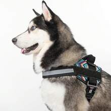 Dogline Dog Harness, Reflective No-Pull Adjustable Vest With Handle Walking, Training, Service Breathable No - Choke Harness Small, Medium Or Large Dogs Room Patches Girth 15 To 18 In RedChristmas BXJX - 阿茲特克設計 - 查看 7