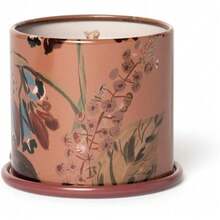 Fresh Sea Salt Vanity Tin Scented Candle - 泰拉煙草 - 查看 4