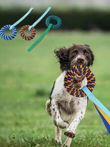 Dog Outdoor Donut Shaped Tug Of War Interactive Toy