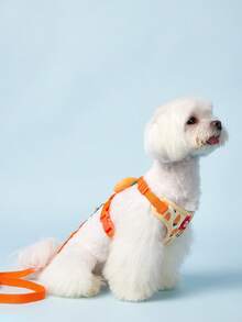 PETSIN 可愛寵物胸帶和繩子套組合，適用於小型犬，戶外遛狗，防逃跑貓繩，可調節貓背心，適用於所有季節 - 橘色 - 查看 8