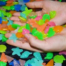 50 块夜光石海星海螺壳水族箱鱼缸装饰派对用品露台 DIY 泳池景观 - 彩色 - 查看 5