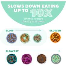 Outward Hound Fun Feeder Slo Bowl, Slow Feeder Dog Bowl, Medium/Mini, Turquoise - Mint - 查看 4