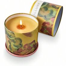 Fresh Sea Salt Vanity Tin Scented Candle - 大黃蜂蜜 - 查看 9