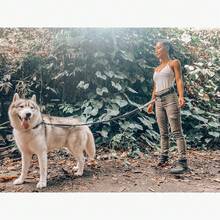 Coleira refletiva para cães com cinto ajustável acolchoado e viva-voz - Coleira elástica de 50 a 72 pol., alças duplas confortáveis para corrida ao ar livre, ciclismo, caminhada e corrida noturna - Multicolorido - Ver 5