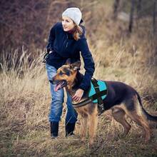 Dogline Dog Harness, Reflective No-Pull Adjustable Vest With Handle Walking, Training, Service Breathable No - Choke Harness Small, Medium Or Large Dogs Room Patches Girth 15 To 18 In RedChristmas BXJX - Teal - 查看 6