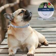 Pet Collar, 8 Months Protection, Plant Ingredient, Waterproof Adjustable, Large Dog & Small Dog & Cat (2pcs)