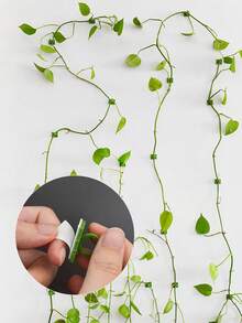 10/20 piezas Ganchos de montaje en pared para plantas trepadoras, fijadores de hojas de hiedra, clips para plantas trepadoras sin taladro, clips para amarrar cables, estante para plantas, decoración del hogar, decoración de jardín exterior
