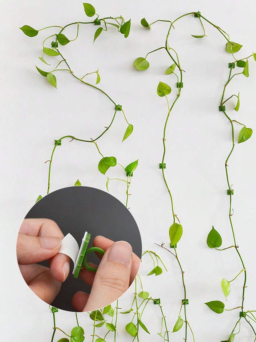 10/20 piezas Ganchos de montaje en pared para plantas trepadoras, fijadores de hojas de hiedra, clips para plantas trepadoras sin taladro, clips para amarrar cables, estante para plantas, decoración del hogar, decoración de jardín exterior