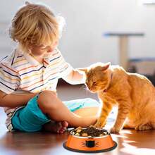 6pcs Cat Food And Water Bowls Set, Stainless Steel Pet Feeding Bowls With Anti-Slip Removable Rubber Base, Suitable For Indoor Cats And Small Dogs, Available In 2/4/6 Pieces Sets