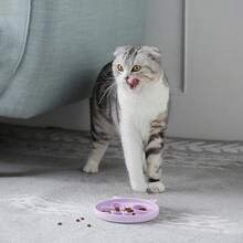 Coomazy Large Silicone Slow Feeder Dog Bowls, Interactive Puzzle Toy Pets Food Training, Keeps Dogs Busy, Prevents Puppy Overeating (Dark Green, Large: 3.2Cup) - 紫色 - 查看 6