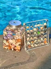 Neue quadratische klare Acryl Schaukasten Mini Muschel Sammlung Displaybox, Muschelausstellungskästen