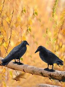 1/2/3 件逼真乌鸦驱鸟装饰，乌鸦装饰，仿真塑料乌鸦装饰，带脚桩，适用于花园、露台和家居装饰。送给爱人、父母和朋友的完美礼物