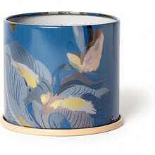 Fresh Sea Salt Vanity Tin Scented Candle - 柑橘粉碎 - 查看 11