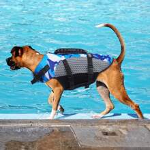 1 pièce Gilet de sauvetage pour chien, gilet de sauvetage pour chien léger, gilet de sauvetage pour chien pour la navigation, la natation, haute flottabilité avec bandes réfléchissantes, convient aux petits/moyens/grands chiens