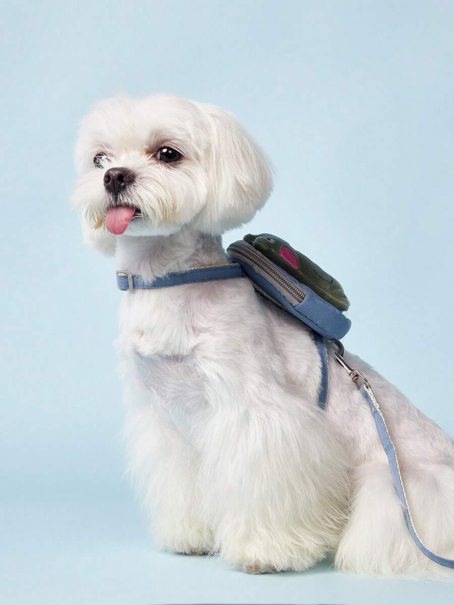 PETSIN 1入組恐龍裝飾寵物背帶和1入組寵物牽引繩適用於狗狗和貓適用於戶外 - 彩色 - 查看 1