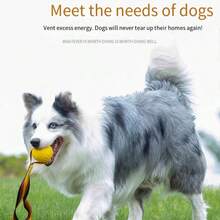 1pc Dog Chew Toy Durable Flying Disc Outdoor Training Tug Rope Ball Pet Toy - Multicolor - View 5