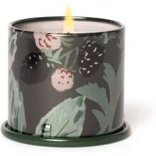 Fresh Sea Salt Vanity Tin Scented Candle - 黑莓苦艾酒 - 查看 7