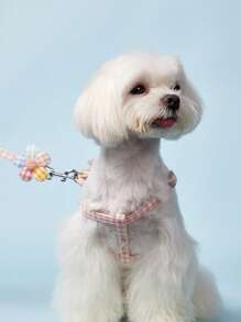 PETSIN Dog Leash, Adorable Triangle Pet Chain For Large, Medium And Small Dogs, Teddy, Golden Retriever Walking Rope, Pet Supplies