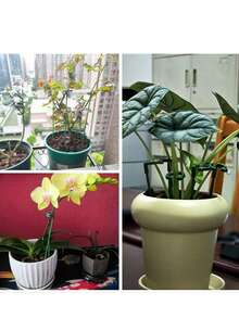 [1/5PCS Green Floral Tape]Stretchable Adhesive Flower Tape For DIY Wedding Bouquet Stem Wrapping, Birthday & Graduation Floral Crafts – Florist Supplies For Flower Arrangement & Gift Decoration