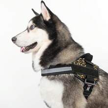 Dogline Dog Harness, Reflective No-Pull Adjustable Vest With Handle Walking, Training, Service Breathable No - Choke Harness Small, Medium Or Large Dogs Room Patches Girth 15 To 18 In RedChristmas BXJX - 豹紋棕色 - 查看 9