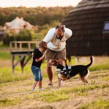 Dogline Dog Harness, Reflective No-Pull Adjustable Vest With Handle Walking, Training, Service Breathable No - Choke Harness Small, Medium Or Large Dogs Room Patches Girth 15 To 18 In RedChristmas BXJX - Camo xanh - Xem 8