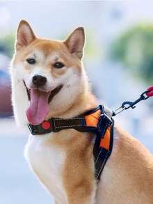 一套大型犬耐用尼龙背心式胸背带和牵引绳，时尚简约设计，舒适弹力，大容量，防拉扯，适合户外探险、日常散步，四季皆宜。 - 彩色 - 查看 2