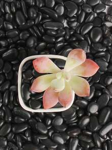 Black Pebbles Suitable For Home And Garden Decoration -0.3-3 Cm, Multi-Color Stones (White, Black, Multi-Color, Yellow) Suitable For Indoor Plants, Outdoor Landscapes, And Holiday Decorations - Perfect For Vases, Glass Containers, Fish Tanks, Aquariums, Succulents, Flower Pot Plant Decorations, As Well As Outdoor Terraces