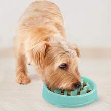 Outward Hound Fun Feeder Slo Bowl, Slow Feeder Dog Bowl, Medium/Mini, Turquoise - Mint - 查看 6