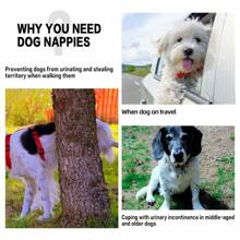 3pcs Male Dog Belly Bands Dog Pants Small Dog Cloth Diaper Reusable Absorbent Pad, Pet Supplies Anti-Harassment Leash