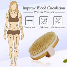 1 Stück Trockenbürstenkörperbürste, Körperhaut-Exfoliator-Kratzer, für trockenes Bürsten der Haut, Massage, Lymphdrainage & Verbesserung der Durchblutung, mittlere Stärke (Wildschweinborsten und Holzgriff) Trockenhaut-Körperbürste