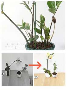 [1/5PCS Green Floral Tape]Stretchable Adhesive Flower Tape For DIY Wedding Bouquet Stem Wrapping, Birthday & Graduation Floral Crafts – Florist Supplies For Flower Arrangement & Gift Decoration