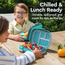 Lonchera a prueba de fugas Chill Kids - Caja Bento de 4 compartimentos con paquete de hielo incorporado, capacidad de 3.3 tazas, libre de PFAS y BPA, apta para microondas y lavavajillas, tamaño para edades de 3 a años (Verde/Azul Marino) - Edición Confeti - Truly Teal - Ver 4