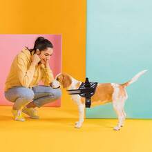 Dogline Dog Harness, Reflective No-Pull Adjustable Vest With Handle Walking, Training, Service Breathable No - Choke Harness Small, Medium Or Large Dogs Room Patches Girth 15 To 18 In RedChristmas BXJX - 黑色 - 查看 8