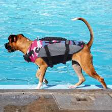 1 pièce Gilet de sauvetage pour chien, gilet de sauvetage pour chien léger, gilet de sauvetage pour chien pour la navigation, la natation, haute flottabilité avec bandes réfléchissantes, convient aux petits/moyens/grands chiens