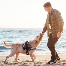 Dogline Dog Harness, Reflective No-Pull Adjustable Vest With Handle Walking, Training, Service Breathable No - Choke Harness Small, Medium Or Large Dogs Room Patches Girth 15 To 18 In RedChristmas BXJX - 黑色 - 查看 6