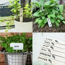 Polymer Clay Cutters For Herb And Vegetable Plant Markers - With Alphabet & Number Stamp Ideal For DIY Fruit, Flower, And Seed Labels, Herb Signs, Name Plates, Garden Tags. Essential Clay Tools For Garden Decoration