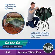 Coolaroo On-The-Go Elevated Dog Bed - Foldable Pop-Up Travel Dog Bed With Breathable, Moisture-Resistant Fabric, Carry Bag Included, Lightweight & Portable, Emerald Green, Standard - 布倫瑞克格林 - 查看 5