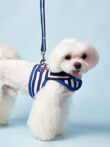 PETSIN Striped Pattern Dog Harness And Leash Set, Soft Dog Harness Vest And Strong Lead Lead For Daily Outings For Puppy, Cat Small Dogs, Chihuahua - Multicolor - View 5