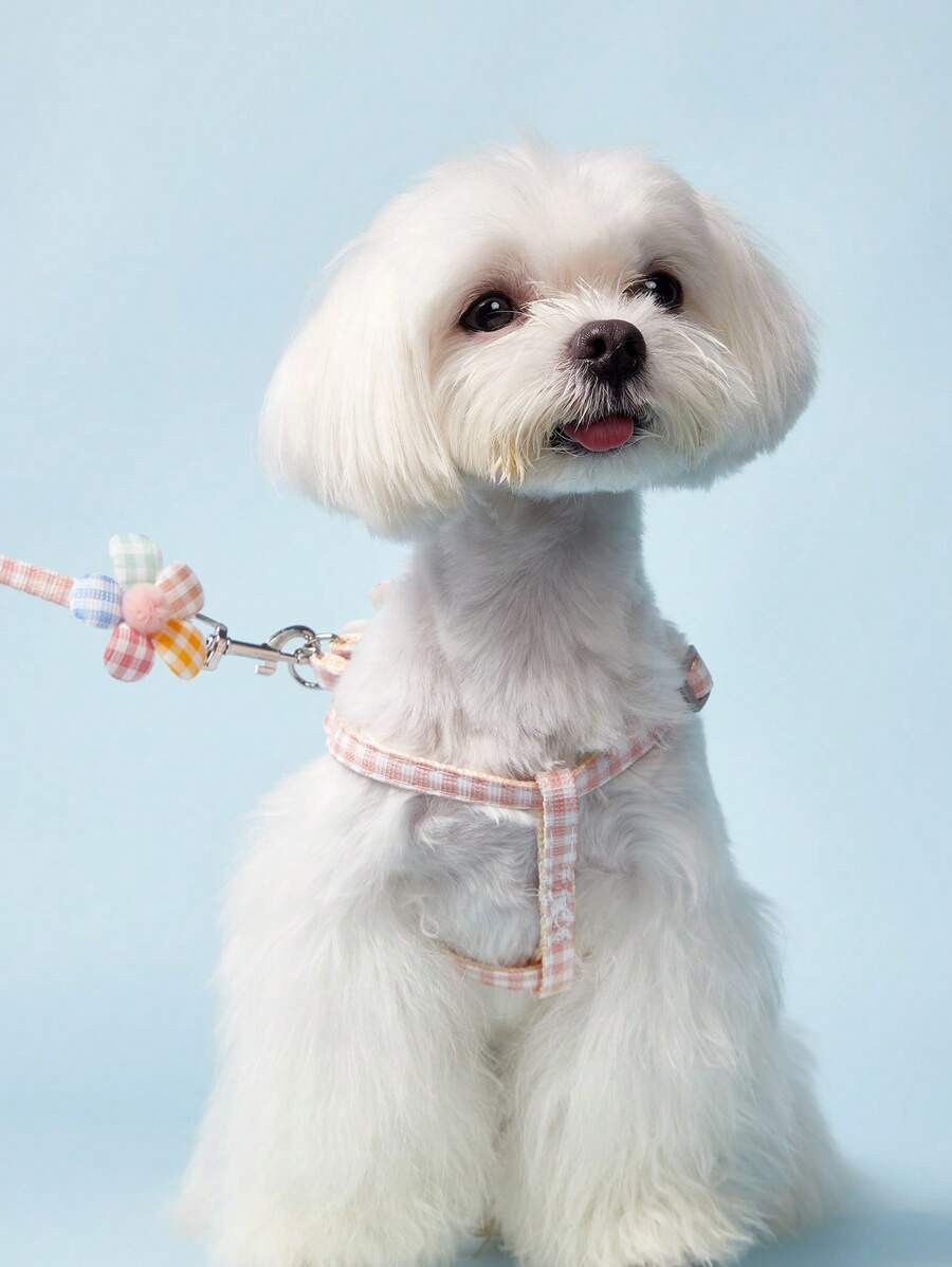 PETSIN Dog Leash, Adorable Triangle Pet Chain For Large, Medium And Small Dogs, Teddy, Golden Retriever Walking Rope, Pet Supplies